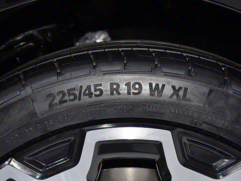 2024�� ���������� 650 �����״��