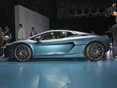 2025�� ������