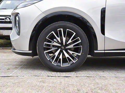 2025�� 215������