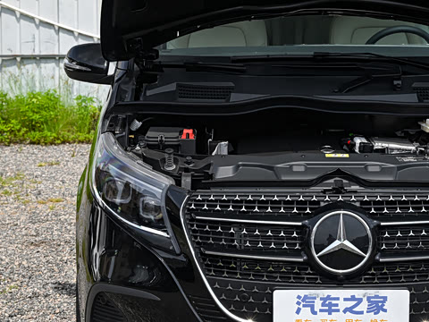 2025�� V 300 �캽��