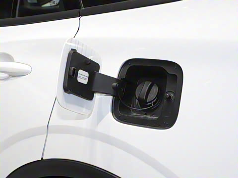 2025�� EcoBoost 170 ������