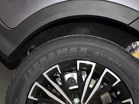 2025�� �ھ��� 1.5T �ֶ��ھ� 5��