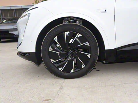 2024�� Max���̰�����