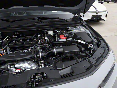 2025�� 260TURBO ��Ӣ��