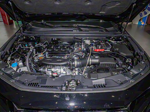 2025�� �˶�ϵ�� 260TURBO ����