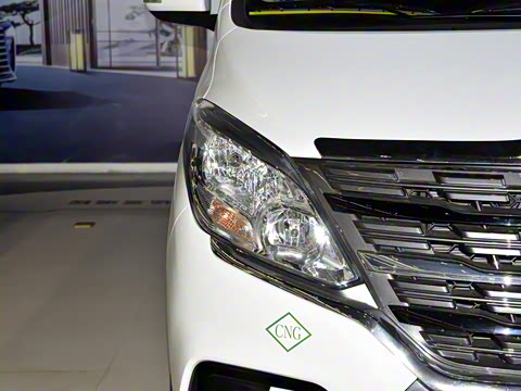 2024�� 2.0L �ֶ�������CNG 9��