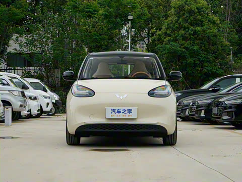 2025�� 333km ������