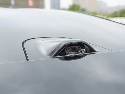 2025�� Max�����