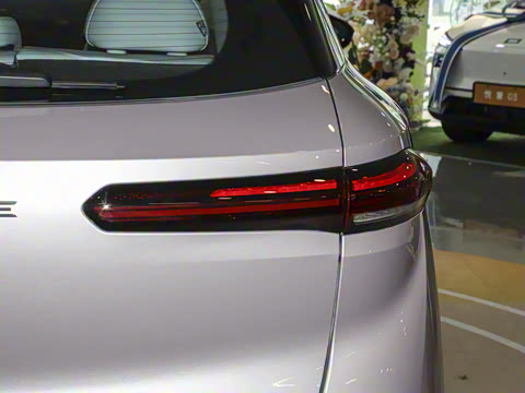 2025�� 565km ������