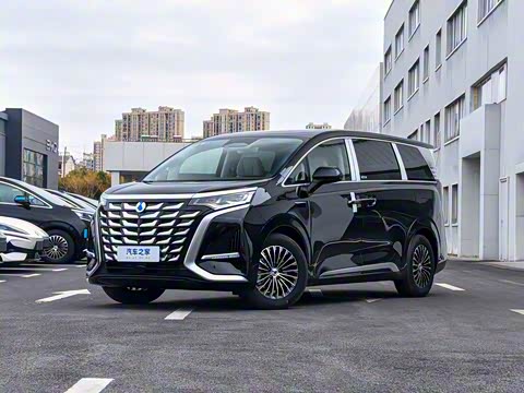 2025�� DM-i �Ǽݰ� 1100 ������