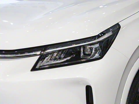 2025�� 165km ������������ 7��