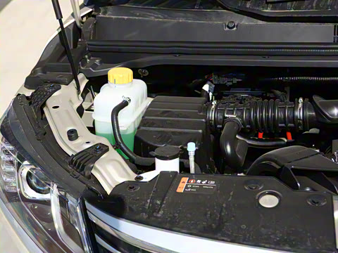 2025�� 1.6L ���������� 7��