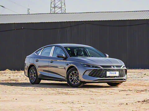 2025�� DM-i �Ǽݰ� 80KM������