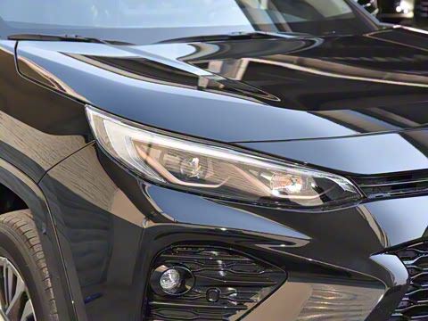 2024�� ˫�� 2.5L E-CVT��������PLUS��