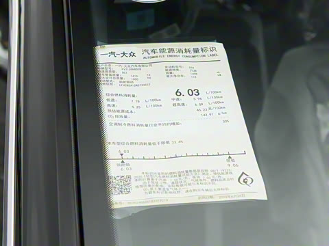 2025�� 300TSI DSG���������