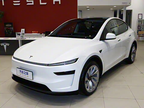 2025�� �������� �׷���