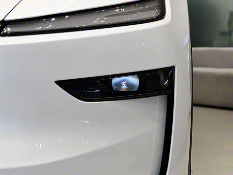 2025�� �������� �׷���