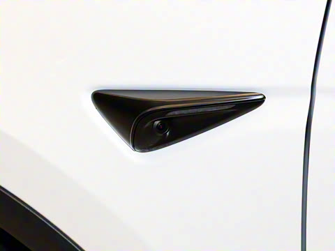 2025�� �������� �׷���