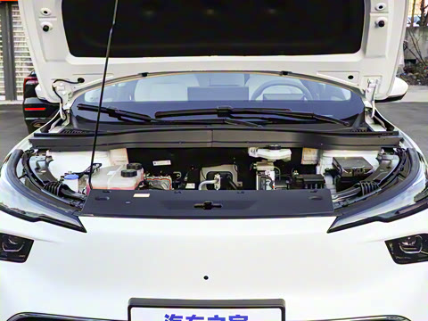 2025�� 565km ������