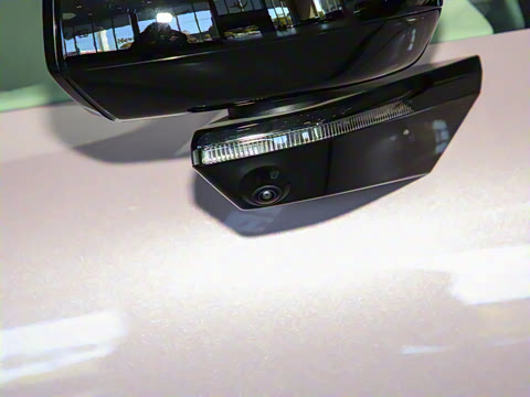 2025�� ����������