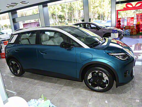 2025�� 420�����