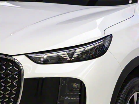 2025�� 290TGDI DCT������ 7��