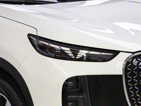 2025�� 290TGDI DCT������ 7��