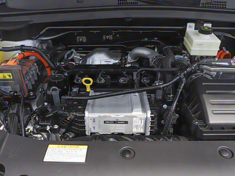 2025�� 205��������������