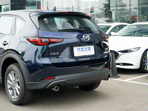 2025�� 2.0L �Զ�����������