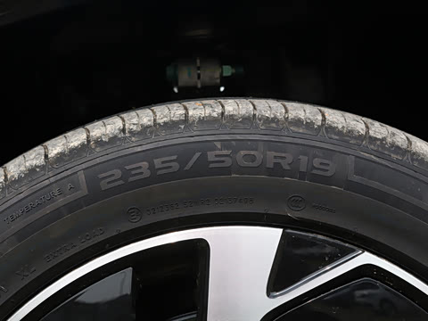 2025�� 550�Ǻ���