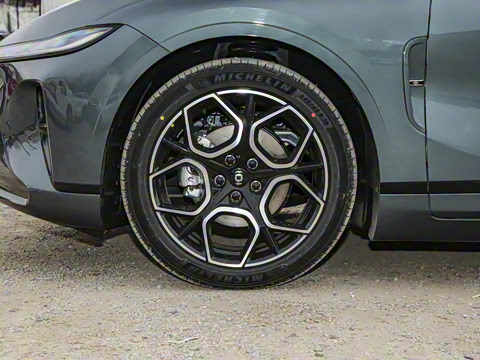 2025�� �������̰� 230�콢��