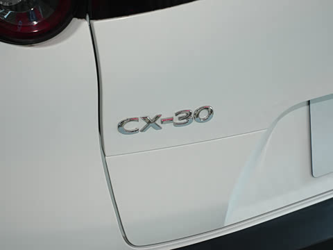 2024�� 2.0L �ֶ�������