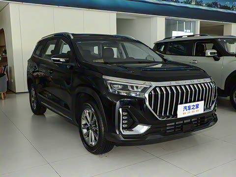 2025�� ��Խ�� 1.6TD �ֶ���PRO 7��