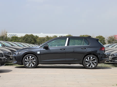 2025�� 300TSI Pro