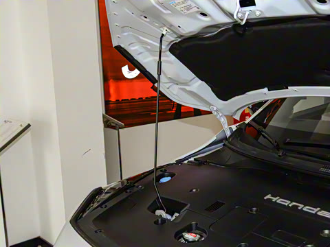 2024�� �ڹ��