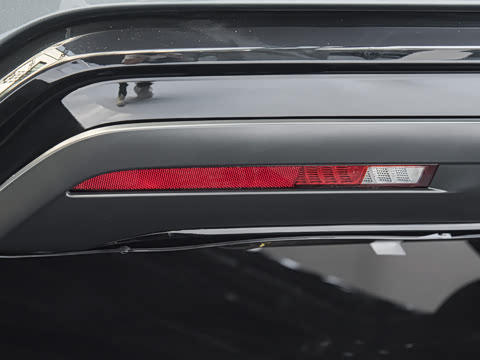 2025�� DM-p ���������״��콢��