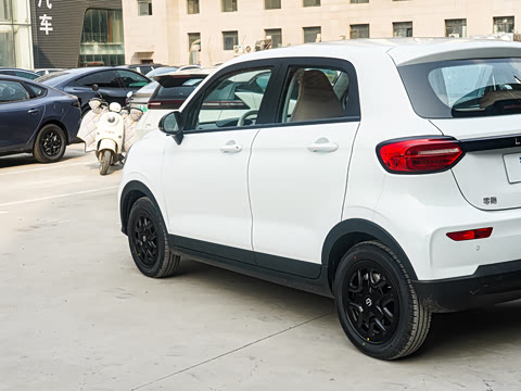 2025�� 310������