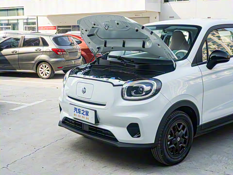 2025�� 310������