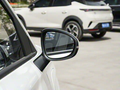 2025�� 305km ������