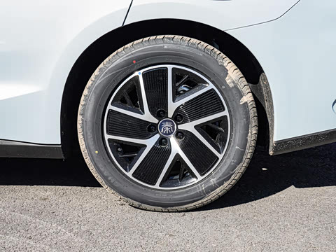 2025�� DM-i �Ǽݰ� 120KM������