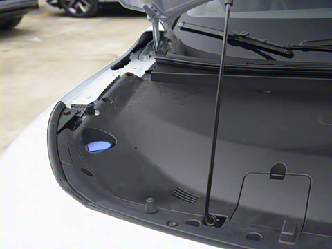 2025�� ����������Max