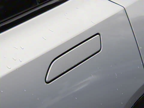 2025�� ����������Max