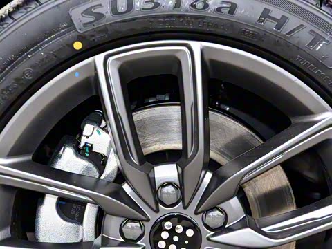 2025�� 165km ������������ 5��