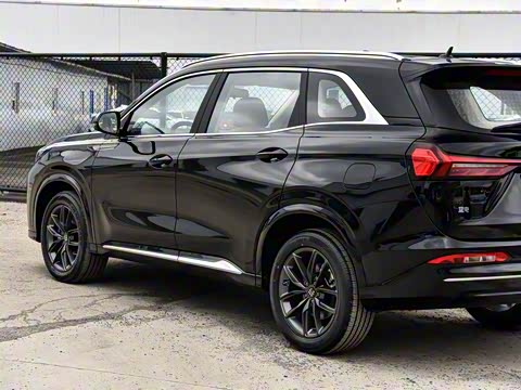 2025�� 165km ������������ 5��