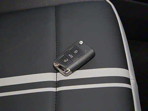 2024�� 300TSI DSG���������