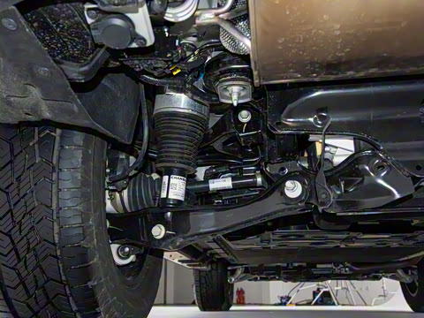 2024�� ����������