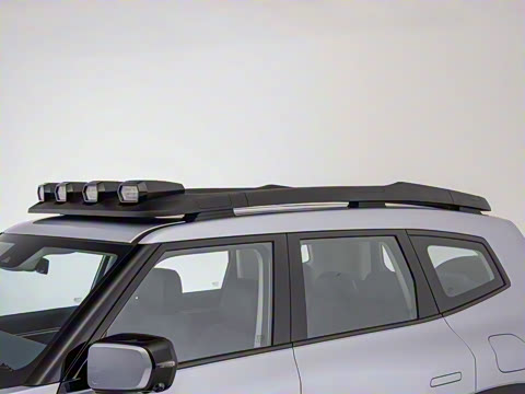 2024�� ����������