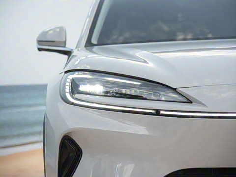 2025�� 135 �����ܼ����״��