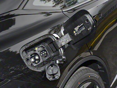 2025�� ���羫Ӣ��