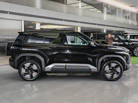 2025�� 501KM ����Max��